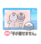 文鳥ニュース（個別スタンプ：32）