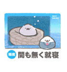文鳥ニュース（個別スタンプ：33）