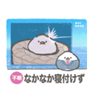 文鳥ニュース（個別スタンプ：34）
