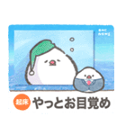 文鳥ニュース（個別スタンプ：36）