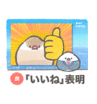 文鳥ニュース（個別スタンプ：38）