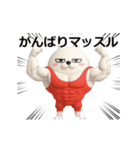 動く 3D擦れうさぎ2（個別スタンプ：21）