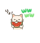 每日使いやすいスタンプ  ネコくん 夏ver（個別スタンプ：1）