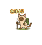每日使いやすいスタンプ  ネコくん 夏ver（個別スタンプ：6）