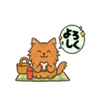 每日使いやすいスタンプ  ネコくん 夏ver（個別スタンプ：7）