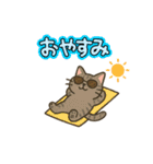 每日使いやすいスタンプ  ネコくん 夏ver（個別スタンプ：8）