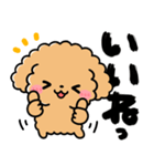 トイプードル♡筆文字リアクション（個別スタンプ：1）