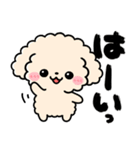 トイプードル♡筆文字リアクション（個別スタンプ：3）