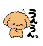 トイプードル♡筆文字リアクション（個別スタンプ：5）