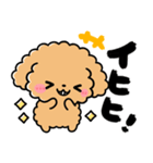 トイプードル♡筆文字リアクション（個別スタンプ：7）