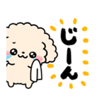 トイプードル♡筆文字リアクション（個別スタンプ：11）