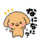 トイプードル♡筆文字リアクション（個別スタンプ：13）