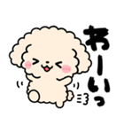 トイプードル♡筆文字リアクション（個別スタンプ：14）