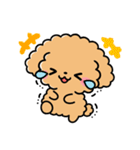トイプードル♡筆文字リアクション（個別スタンプ：15）