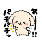 トイプードル♡筆文字リアクション（個別スタンプ：17）