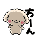 トイプードル♡筆文字リアクション（個別スタンプ：19）