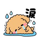 トイプードル♡筆文字リアクション（個別スタンプ：21）