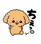 トイプードル♡筆文字リアクション（個別スタンプ：23）