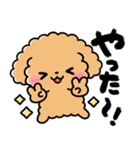 トイプードル♡筆文字リアクション（個別スタンプ：26）