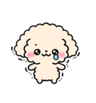 トイプードル♡筆文字リアクション（個別スタンプ：27）