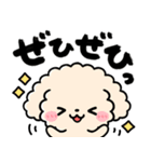 トイプードル♡筆文字リアクション（個別スタンプ：30）