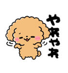 トイプードル♡筆文字リアクション（個別スタンプ：31）
