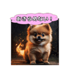 ポメちゃんのラブリートーク（個別スタンプ：1）