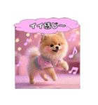 ポメちゃんのラブリートーク（個別スタンプ：3）
