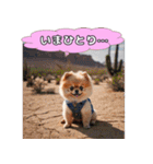 ポメちゃんのラブリートーク（個別スタンプ：9）
