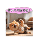 ポメちゃんのラブリートーク（個別スタンプ：29）