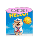 ポメちゃんのラブリートーク（個別スタンプ：34）