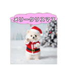 ポメちゃんのラブリートーク（個別スタンプ：40）