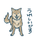ユニーク狼さんスタンプ（個別スタンプ：10）