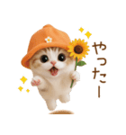 スコティッシュ猫 可愛いみかんハット（個別スタンプ：2）
