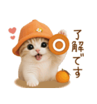 スコティッシュ猫 可愛いみかんハット（個別スタンプ：3）