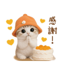 スコティッシュ猫 可愛いみかんハット（個別スタンプ：6）