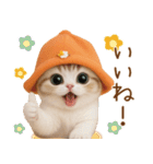 スコティッシュ猫 可愛いみかんハット（個別スタンプ：8）