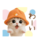 スコティッシュ猫 可愛いみかんハット（個別スタンプ：10）