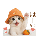 スコティッシュ猫 可愛いみかんハット（個別スタンプ：11）