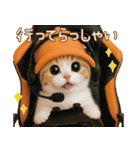スコティッシュ猫 可愛いみかんハット（個別スタンプ：13）