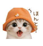 スコティッシュ猫 可愛いみかんハット（個別スタンプ：16）
