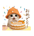 スコティッシュ猫 可愛いみかんハット（個別スタンプ：17）
