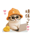 スコティッシュ猫 可愛いみかんハット（個別スタンプ：19）