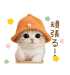 スコティッシュ猫 可愛いみかんハット（個別スタンプ：20）