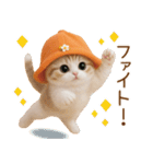 スコティッシュ猫 可愛いみかんハット（個別スタンプ：21）