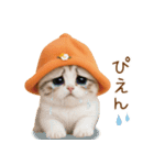 スコティッシュ猫 可愛いみかんハット（個別スタンプ：25）