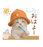 スコティッシュ猫 可愛いみかんハット（個別スタンプ：29）