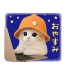 スコティッシュ猫 可愛いみかんハット（個別スタンプ：31）