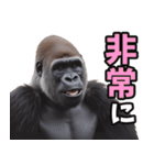 傾聴する聞き上手なゴリラ（個別スタンプ：2）