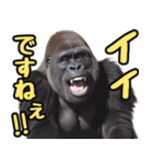傾聴する聞き上手なゴリラ（個別スタンプ：3）